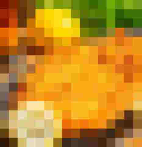 Knuspriges Wiener Schnitzel mit Pommes und Zitrone im familienhotel Salzkammergut am Attersee