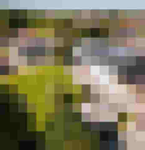 Voralpenhotel Schmoller mit Garten und Ferienhäusern im Salzkammergut nahe Attersee Urlaub